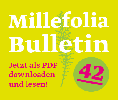 Werbebanner in starken Farben für den PDF-Download des Bulletins 42